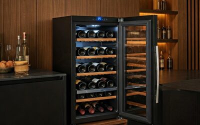 Troubleshooting Wine Cooler Door Issues at Home