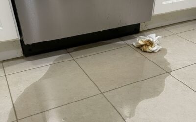 San Jose’s Common GE Monogram Dishwasher Problems Explained