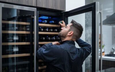 GE Monogram Wine Cooler Repair in Monrovia When Lights Stay On
