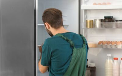 GE Monogram Refrigerator Summer Maintenance – Los Angeles